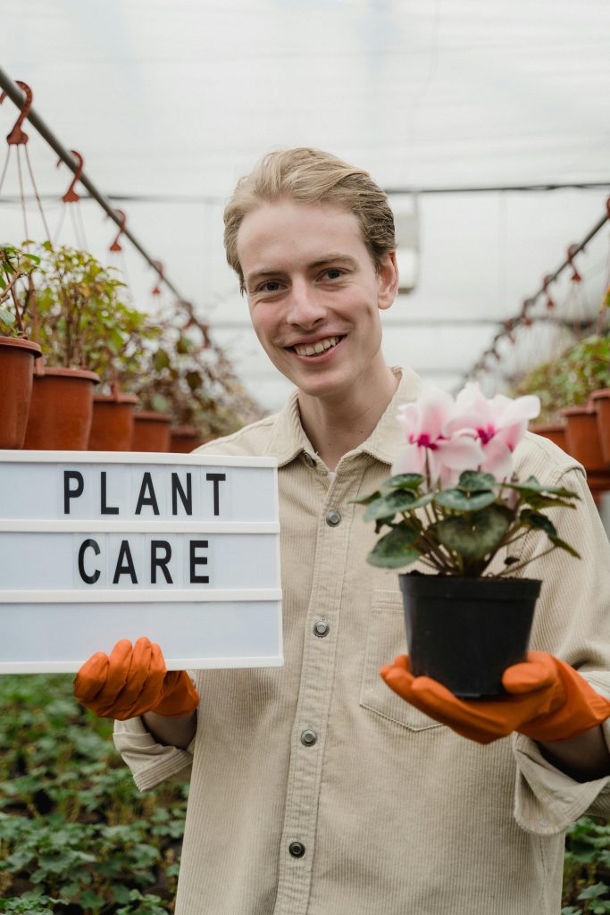 how to care outdoor plants in summers by mera baghicha