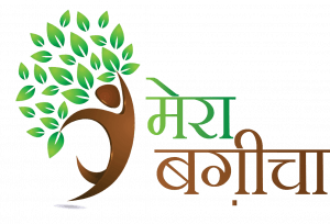 Mera Baghicha