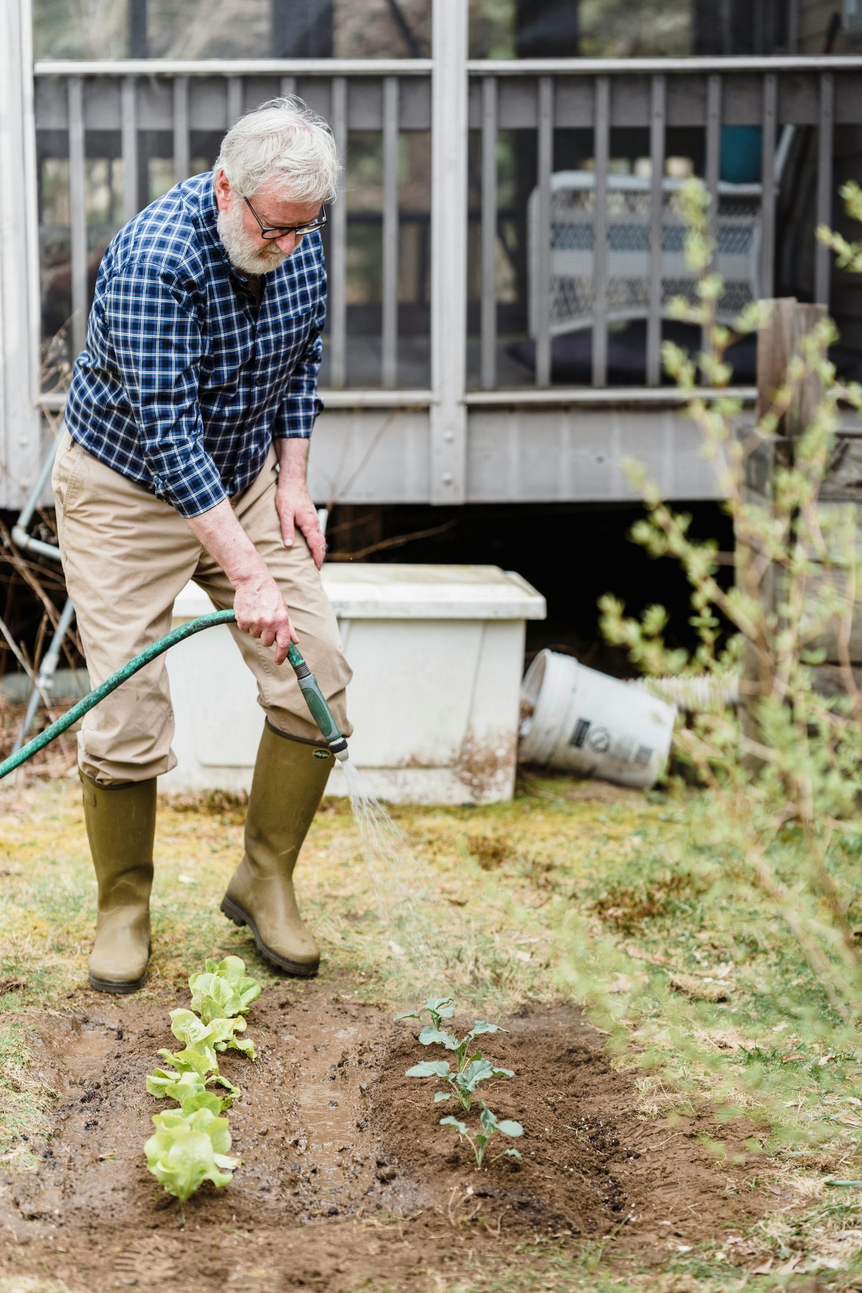 How to care outdoor plants in summers ?