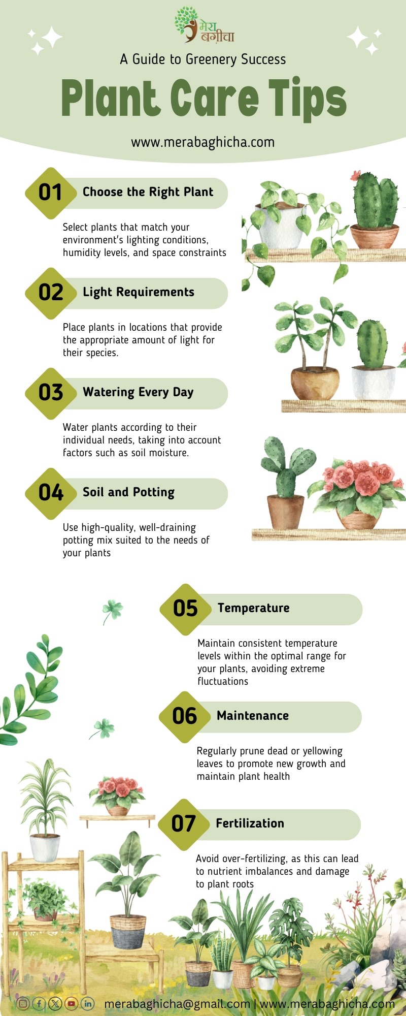 Green Organic Watercolor Plant Care Tips Infographic