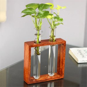 Test Tube Planter with Wooden Holder