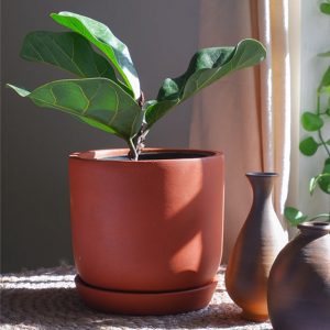 Kyna Terracotta Planter