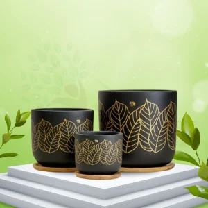 Kyna Black Leaf Terracotta Pot