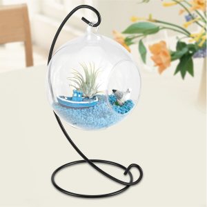Hanging Glass Bowl Terrarium with Iron Frame
