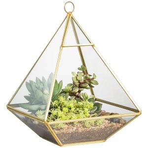 Hanging Pyramid Glass Terrarium