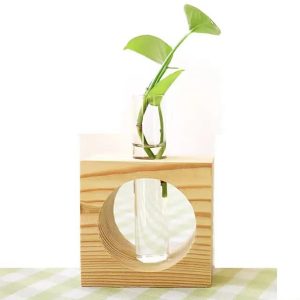 Wooden & Glass Test Tube Planter