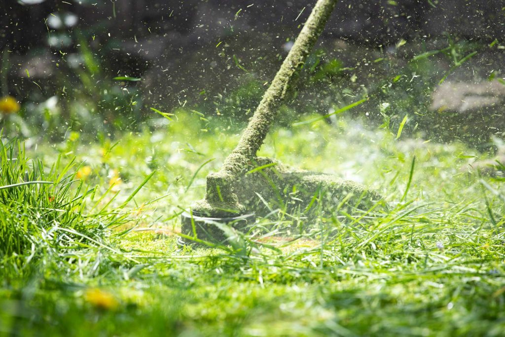 a-lawn-mower-is-cutting-green-grass-H88UTTK.jpg