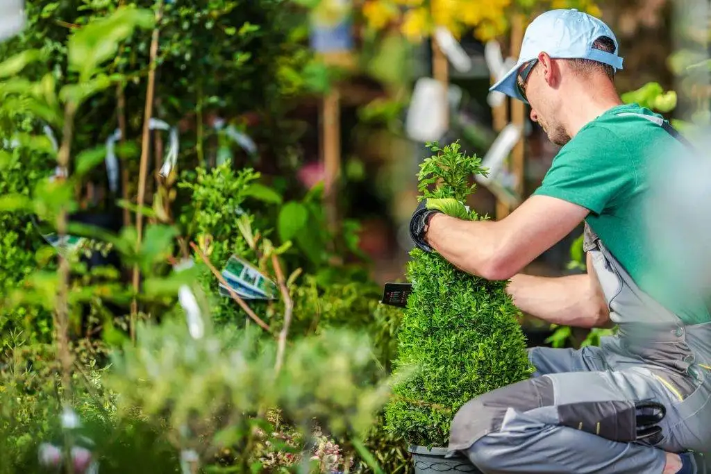 Design and Planting Service