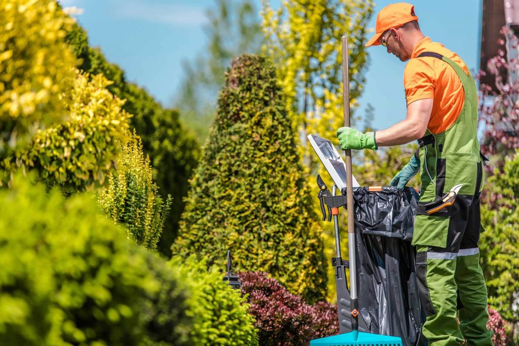garden-seasonal-maintenance-2G9YRTE.jpg