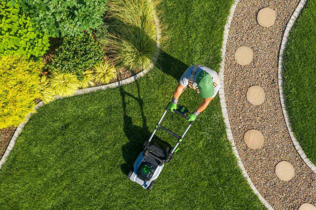 Professional Garden Services in Noida & Delhi NCR