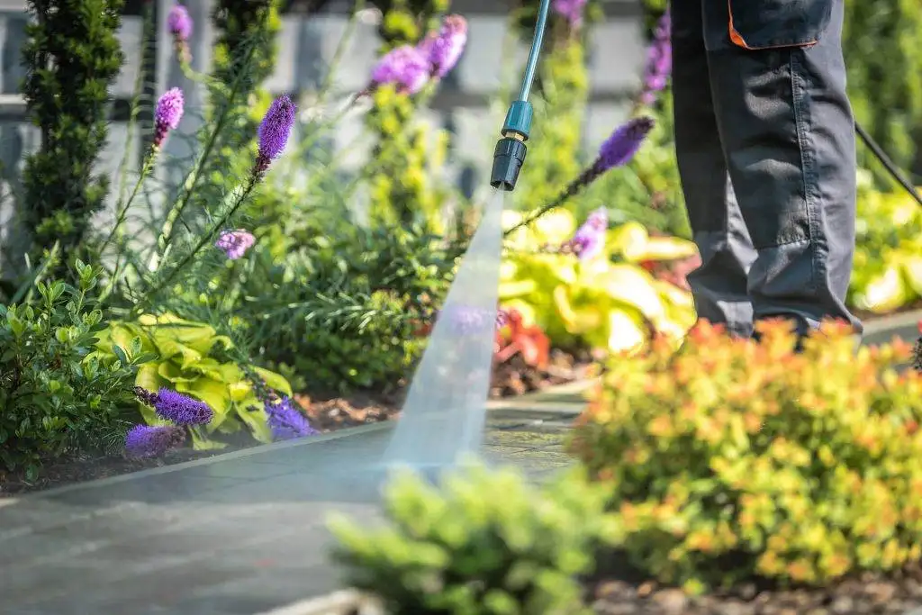 Garden Clearance Service