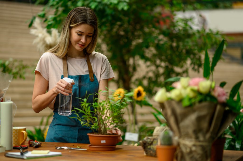 Decoration and Landscaping services