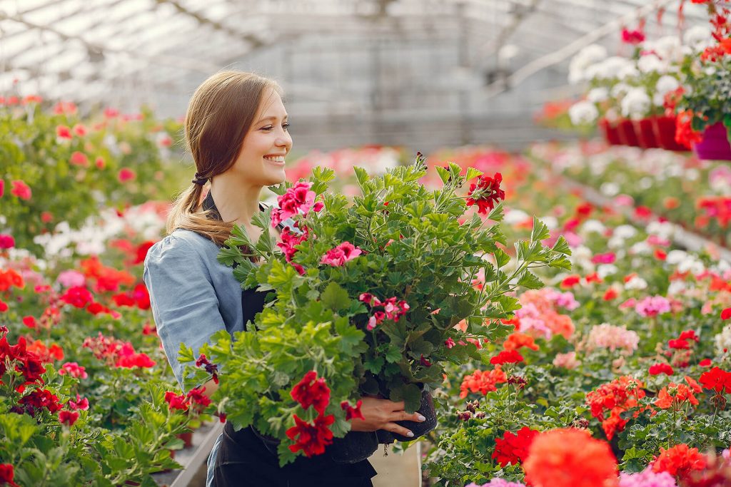 woman-in-a-black-apron-working-in-a-greenhouse-MGD5E7J.jpg