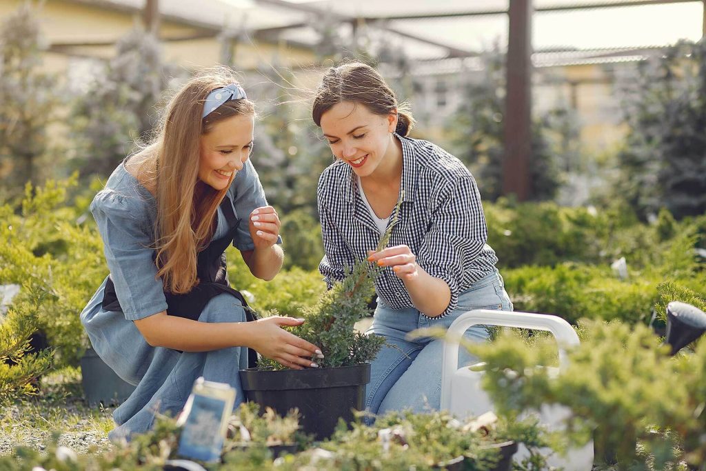 women-working-in-a-greenhouse-with-a-flowerpoots-YYES4CA.jpg