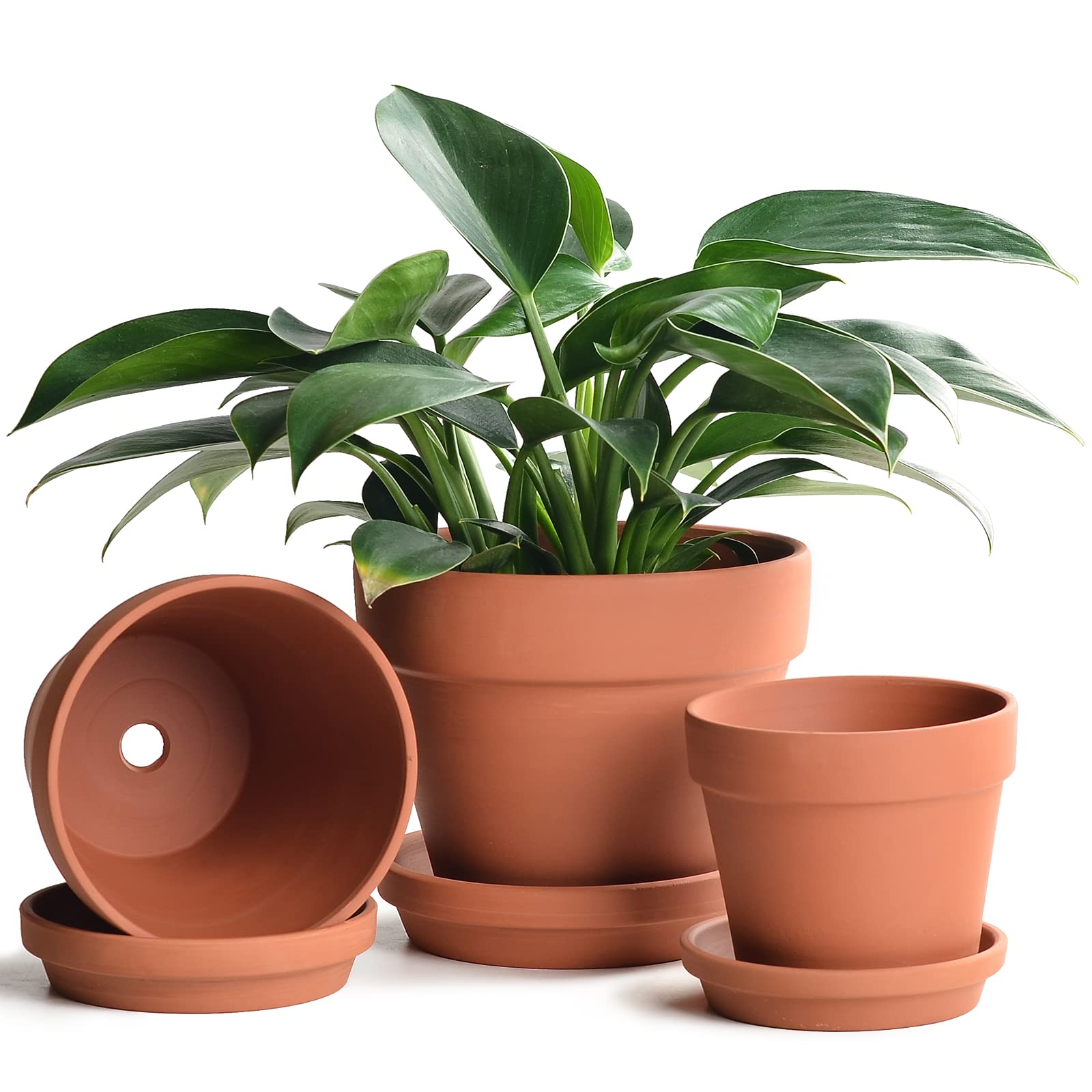Pots-merabaghicha