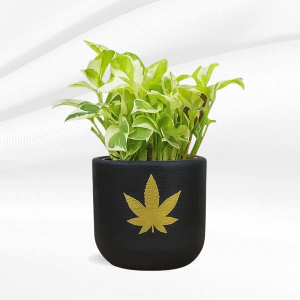 black golden leaf terracotta planter
