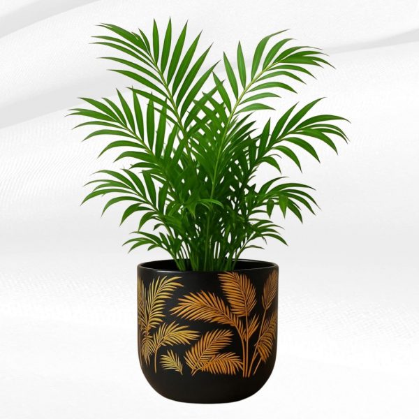golden palm leaf terracotta planter