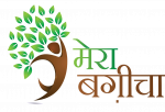 India's no.1 Plants and Planters Store