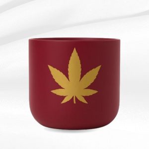 Red Golden Leaf Terracotta Planter