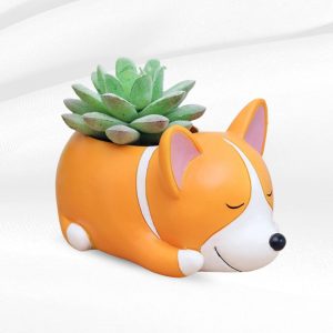 Sleeping Dog Resin Pot | Mera Baghicha