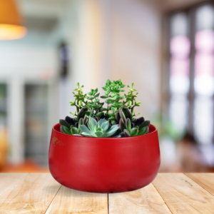 Metal Table Top Planter