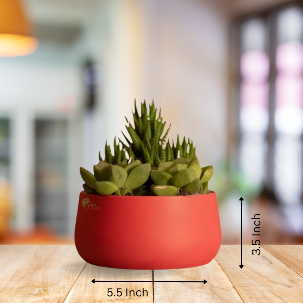 metal table top planter