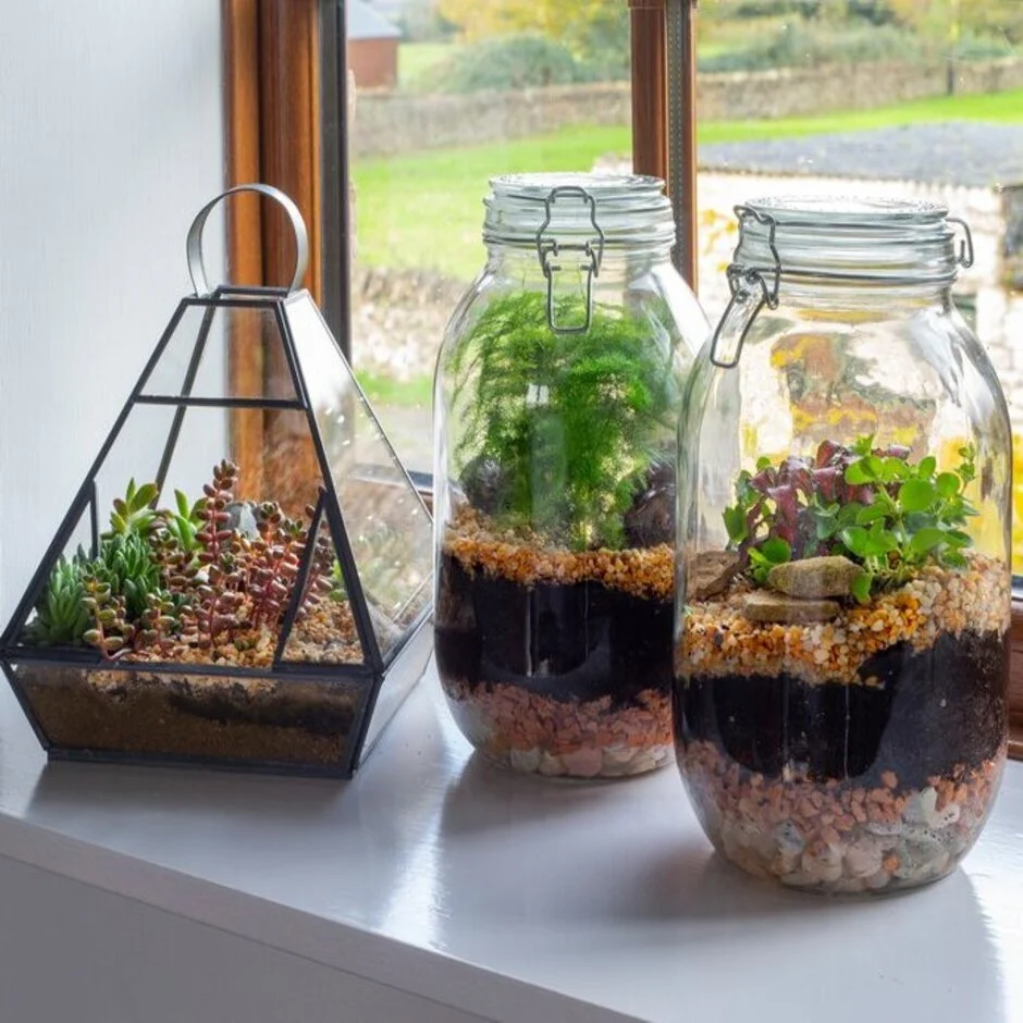 Glaas Pots Collections